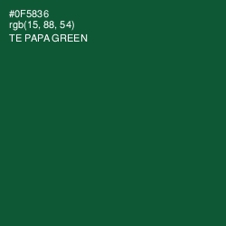 #0F5836 - Te Papa Green Color Image